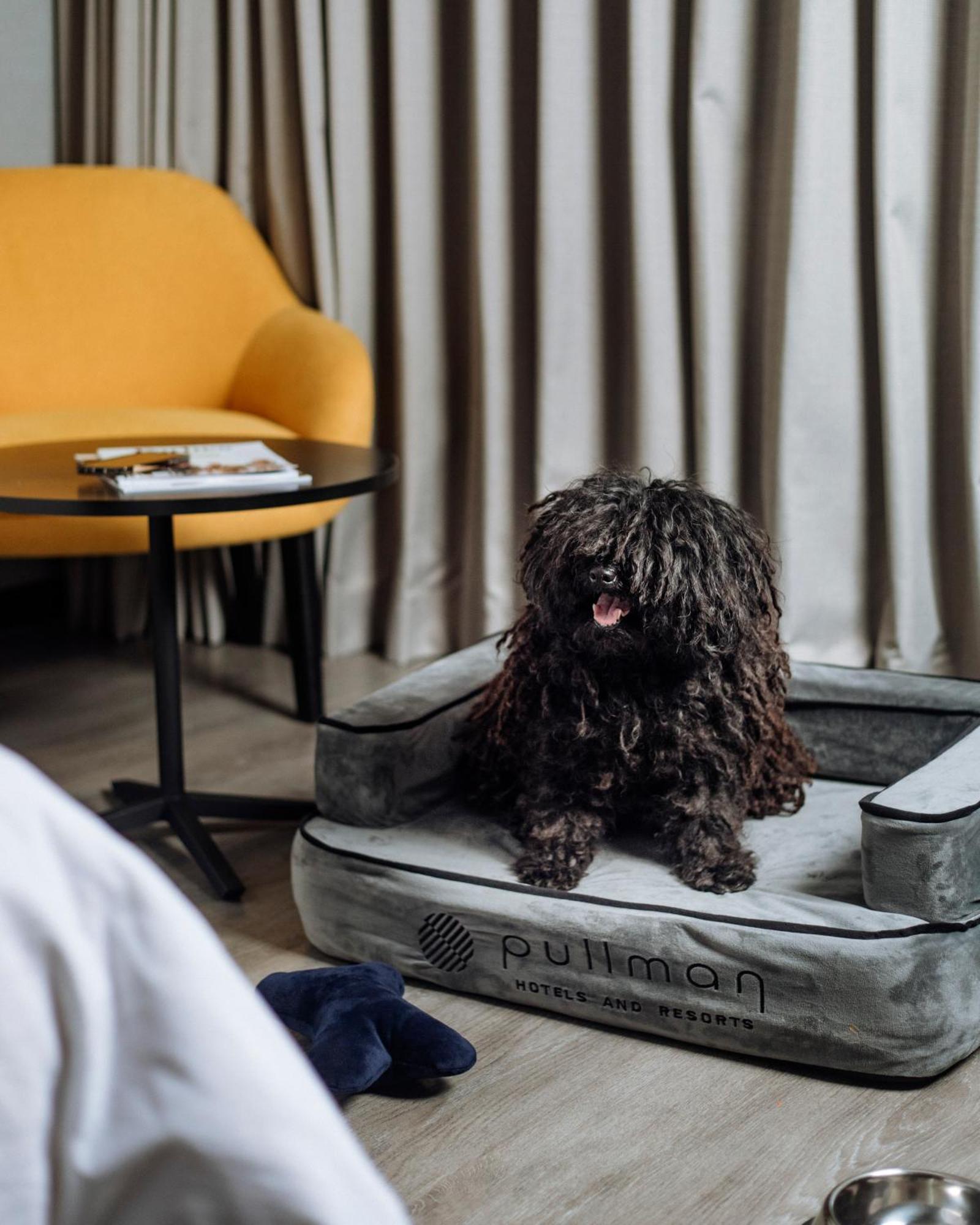 Hotel Pullman San Isidro